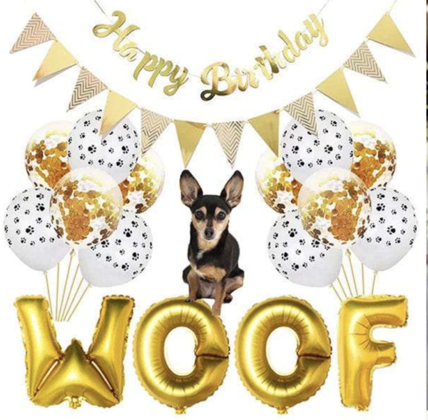 COMBO CUMPLEAÑOS PERRO